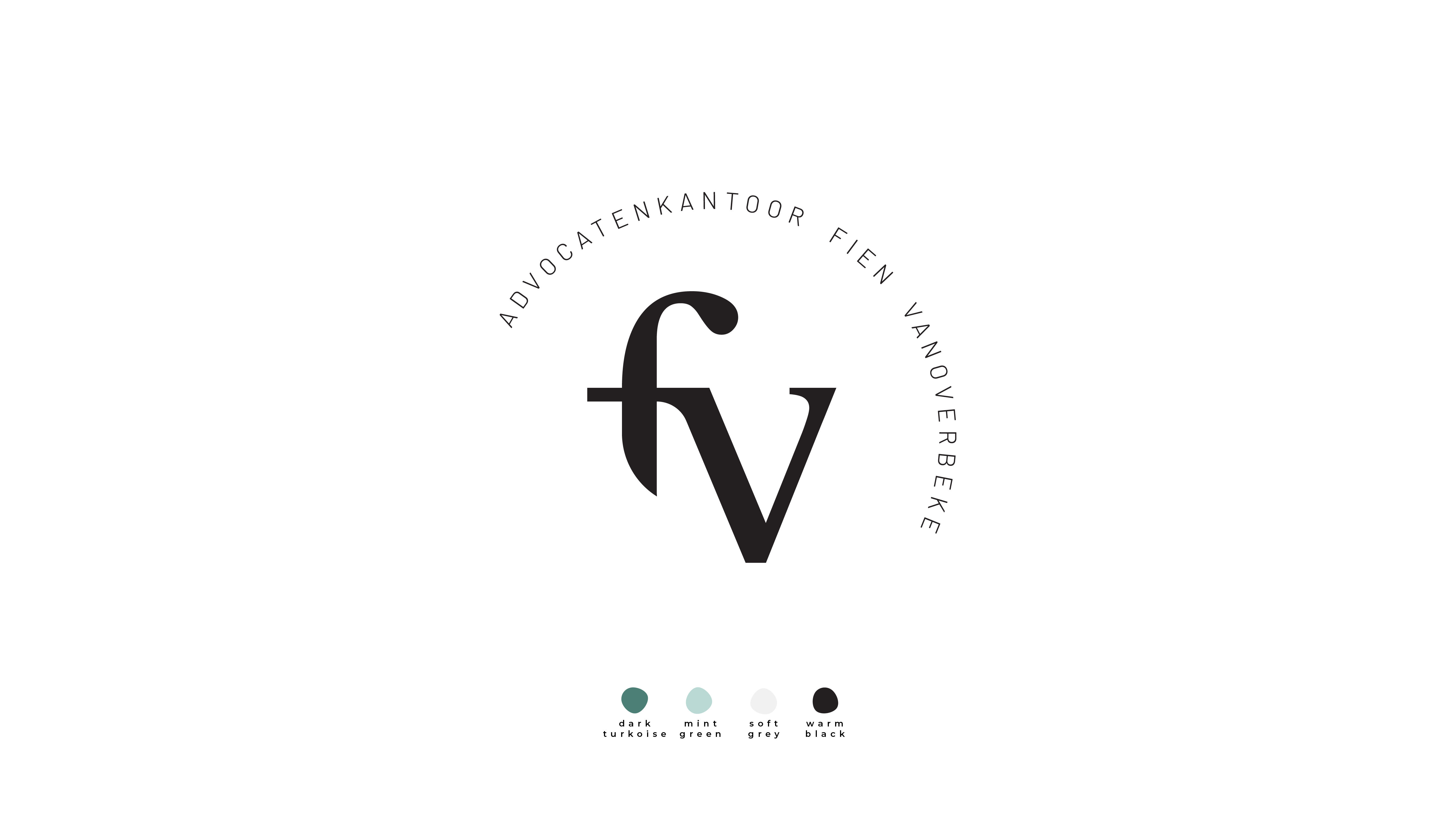 FV-visuals-04